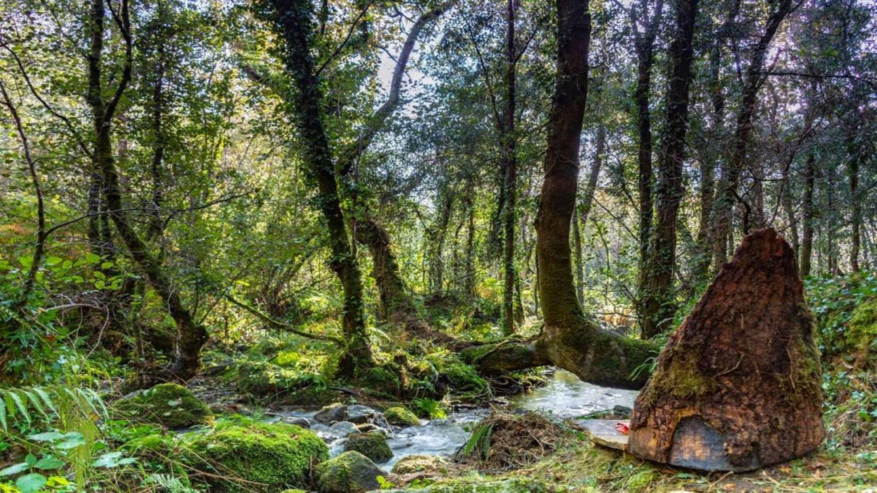 Ruta da Auga de Zas  (Concello de Zas)