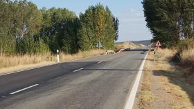 La carretera N-631, en la provincia de Zamora