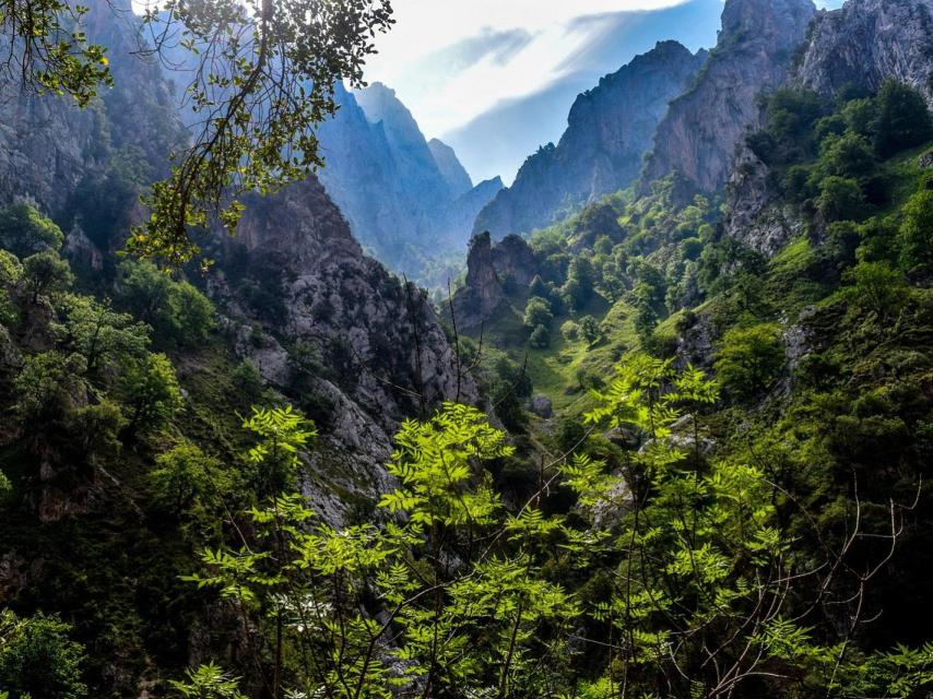 Picos de Europa.