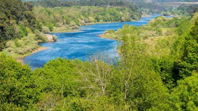 Imagen del río Miño a su paso por Monçao.