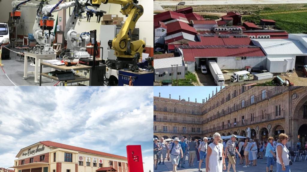 Las empresas y entidades reconocidas en los XIII Premios al Cooperativismo y la Economía Social de Castilla y León