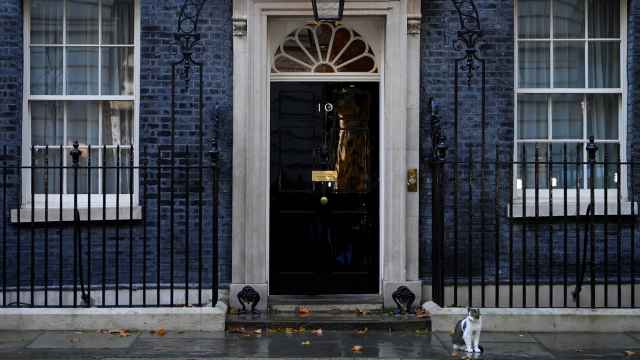El gato Larry en el número 10 de Downing Street tras la dimisión de Liz Truss.