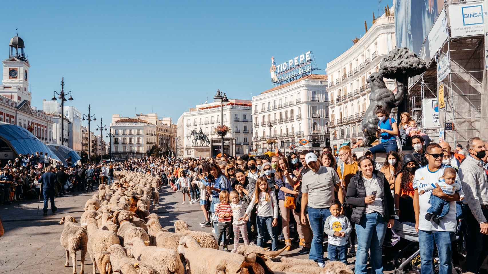 El rebaño en la Puerta del Sol de Madrid