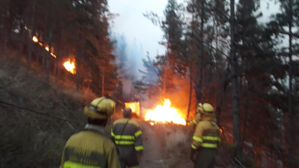Los bomberos trabajan en el incendio del Valle de Mena, en Burgos, este domingo.