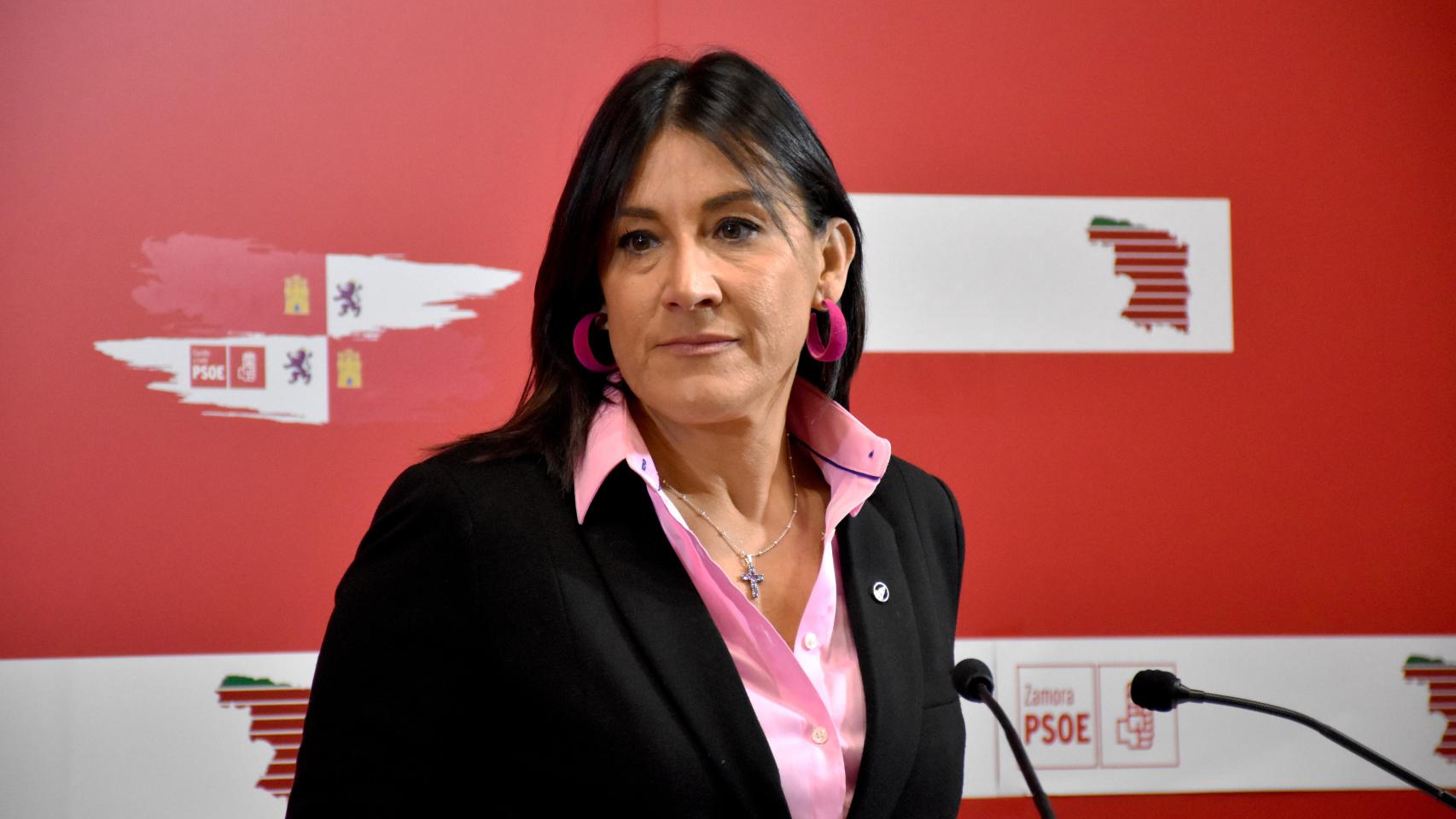 La secretaria de Organización del Partido Socialista en Castilla y León, Ana Sánchez