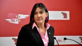 La secretaria de Organización del Partido Socialista en Castilla y León, Ana Sánchez