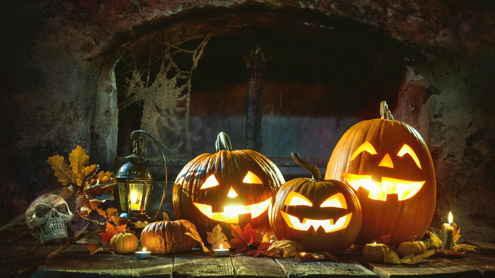 Calabazas talladas en foto de archivo. Foto: Shutterstock