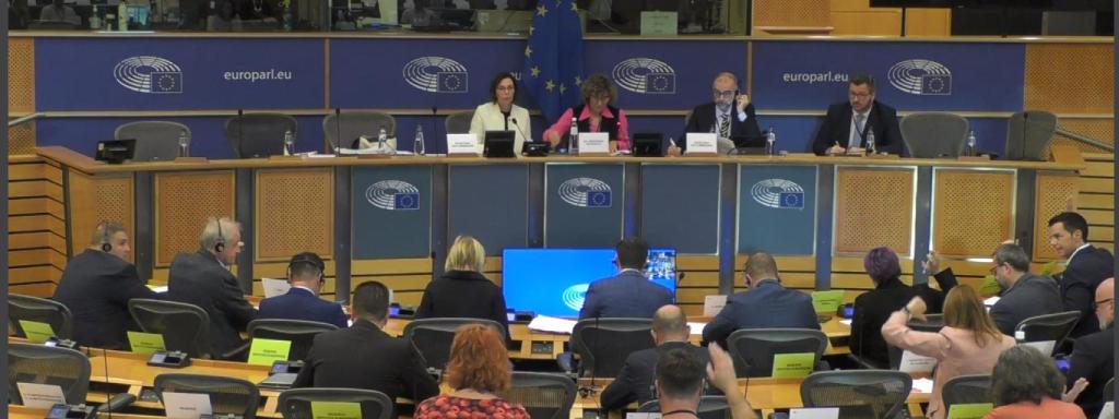 Votación de las enmiendas, celebrada este martes, en la reunión de la Comisión de Peticiones del Parlamento Europeo.