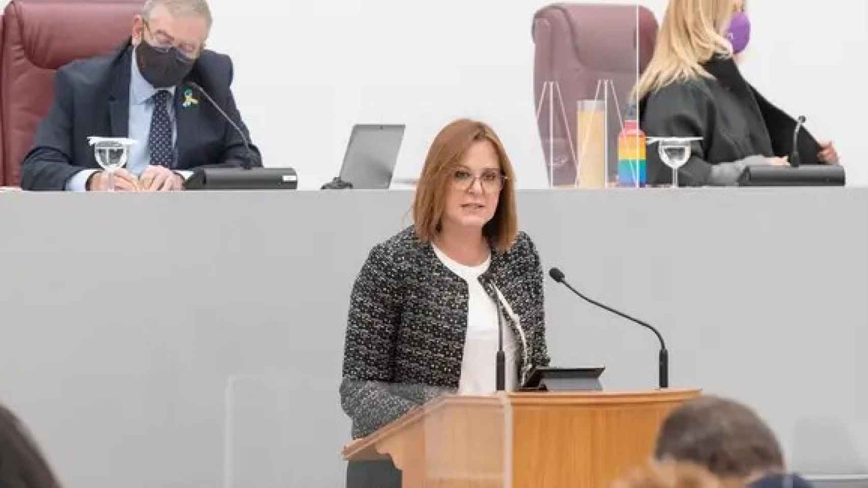 La vicepresidenta del Gobierno autonómico y consejera de Política Social, Isabel Franco, interviniendo en la Asamblea Regional.