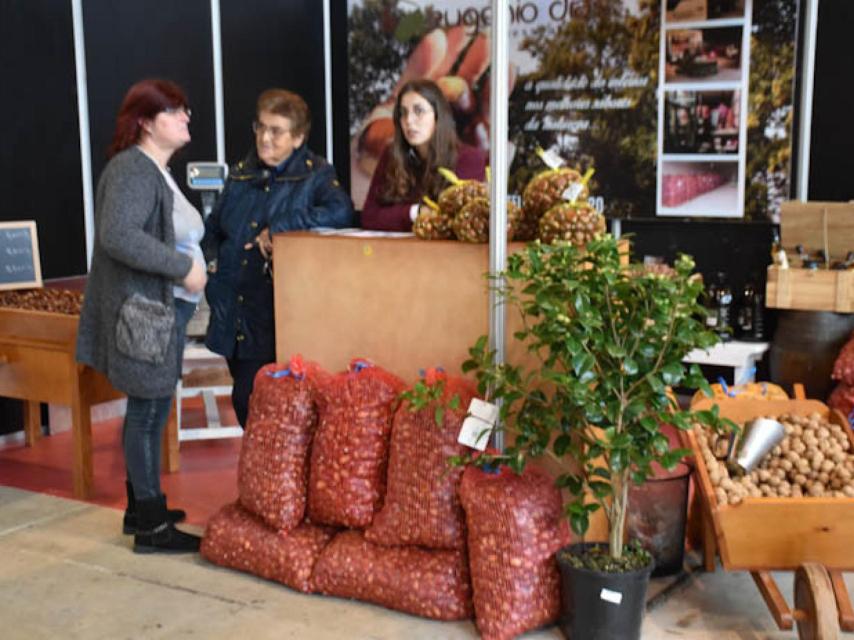 Feria de la Castaña de Trancoso en 2019