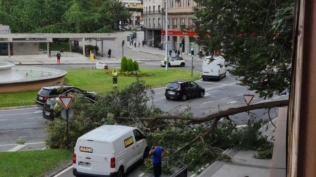 La rama caída en la avenida de Oza con la glorieta de Cuatro Caminos de A Coruña.