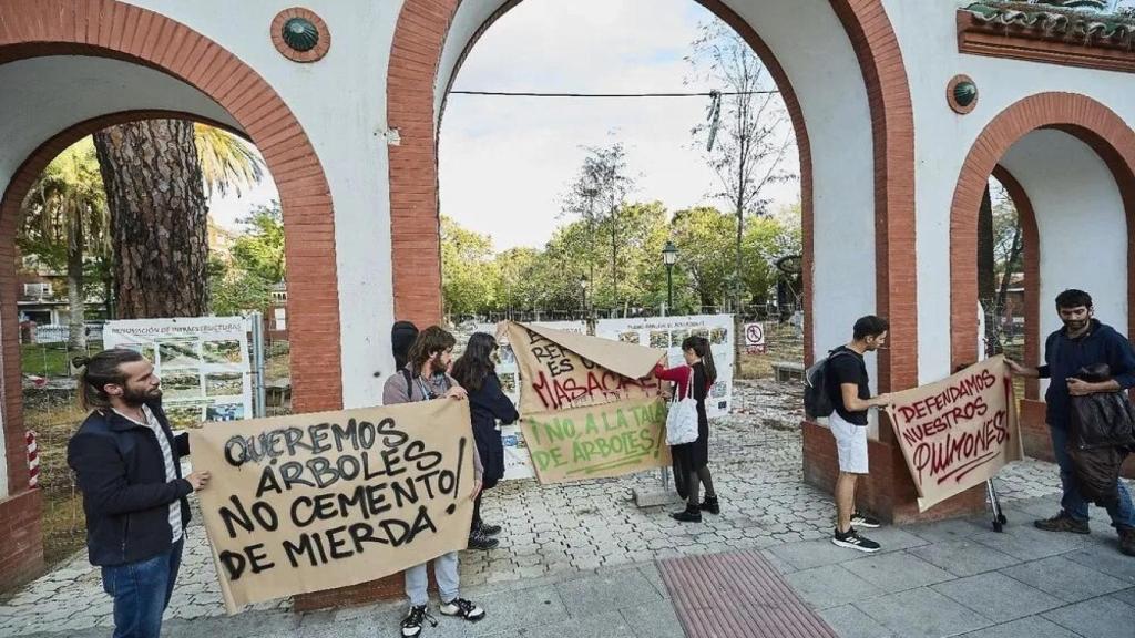 Las obras del Prado de Talavera empiezan con polémica por la masacre de los árboles. Foto: Efe