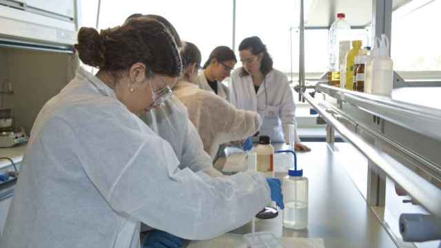 Alumnos de la ESO acuden a unas prácticas de ciencias en la Universidad de Alicante, en imagen de archivo.