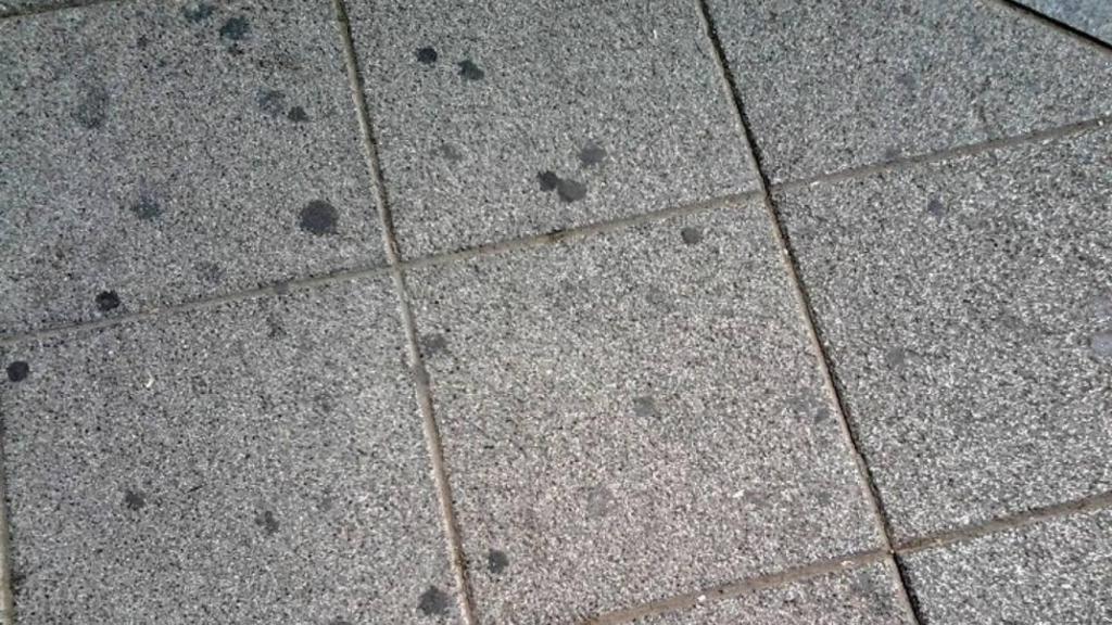 ¿Qué son las manchas negras que siempre hay en las aceras de las calles?