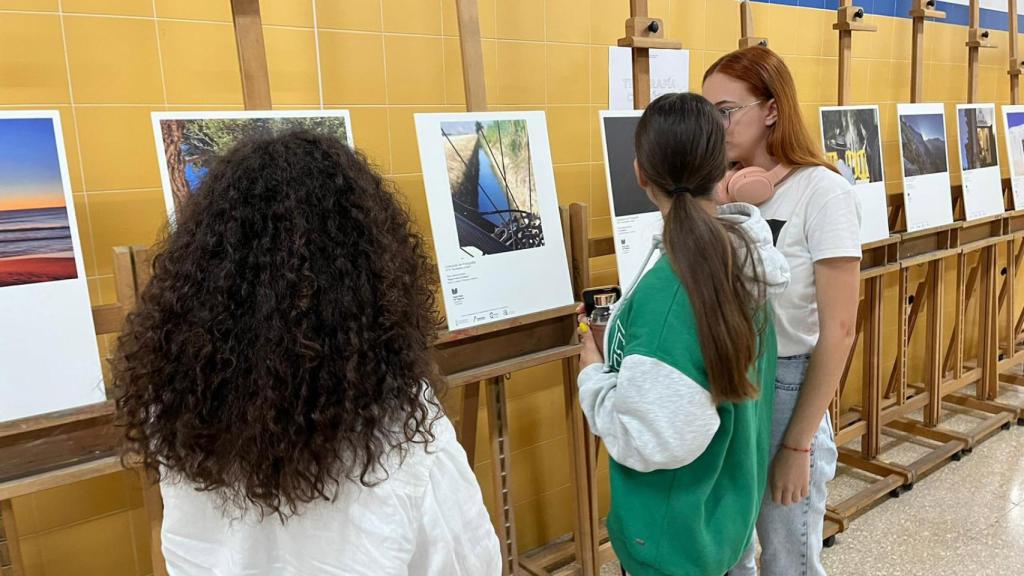 Exposición de Gastro Vega Baja.