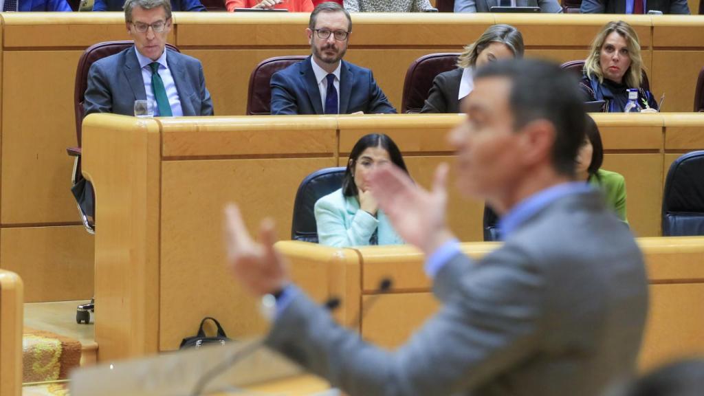 Alberto Núñez Feijóo durante la intervención en el Senado de Pedro Sánchez.