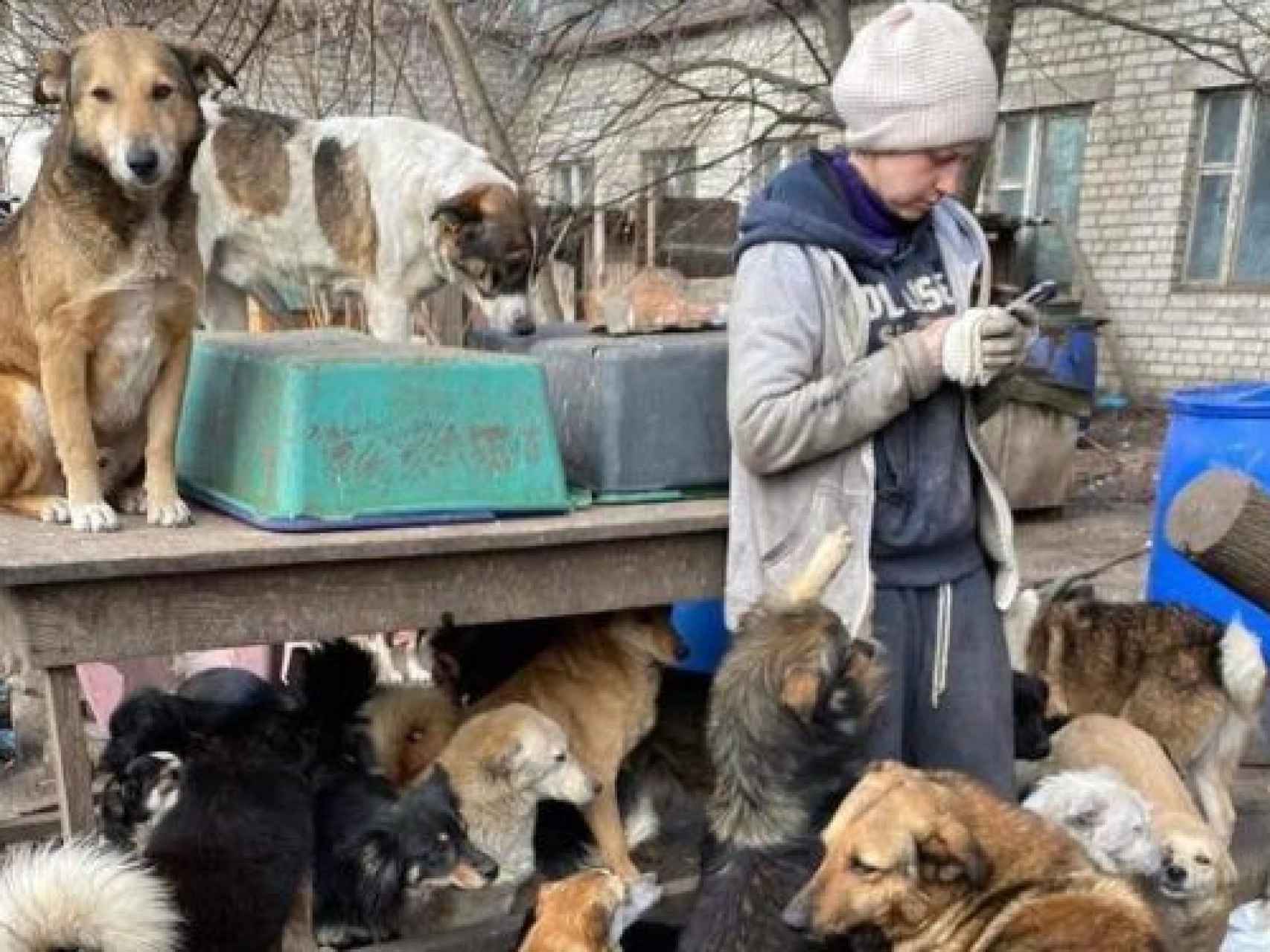 Una voluntaria del refugio Oportunidad de Jersón, junto a los perros.