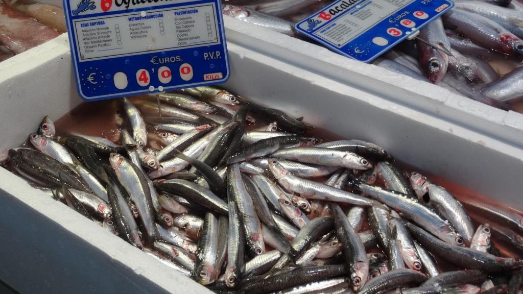 Boquerones en una pescadería.