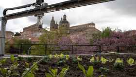 La sostenibilidad en la Universidad de Salamanca