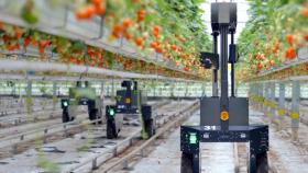 Los robots de Tortuga AgTech están equipados con inteligencia artificial y visión computarizada.