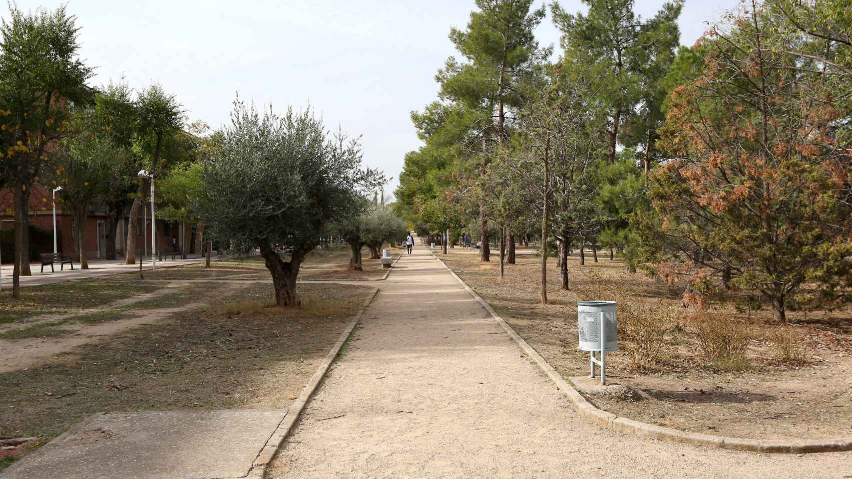 Imagen del parque lineal de Toledo.