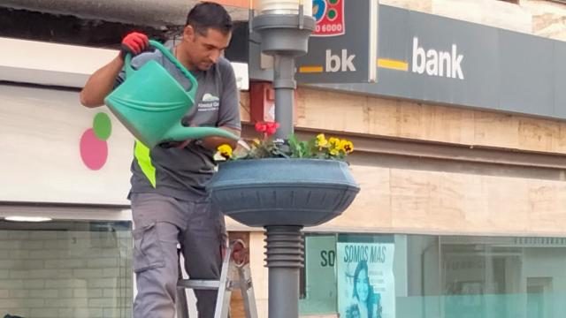 Un trabajador riega las plantas de los maceteros colgantes en Alcázar de San Juan.