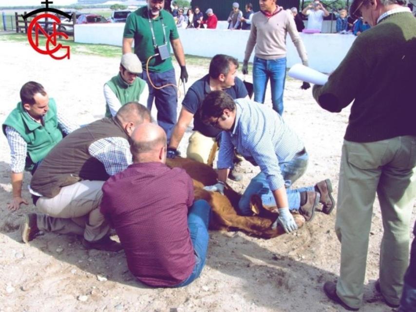 Herradero a la antigua usanza