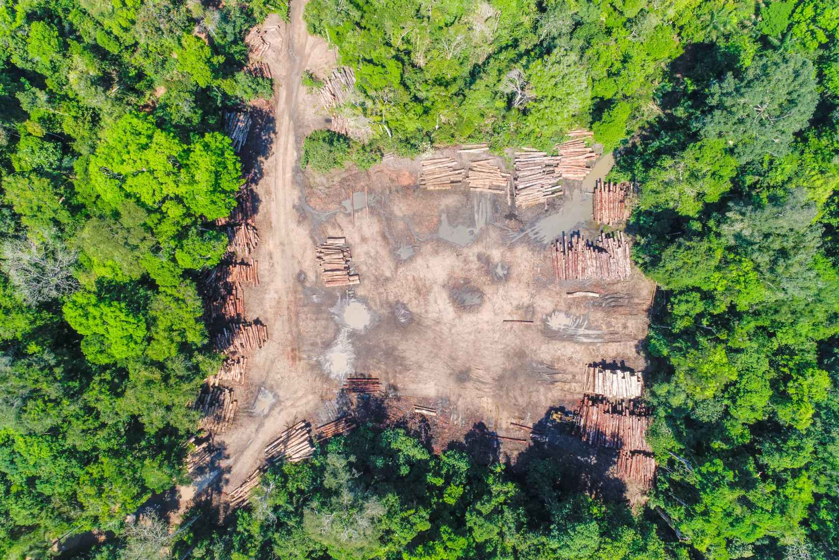 Imagen de archivo de la deforestación en el Amazonas brasileño.