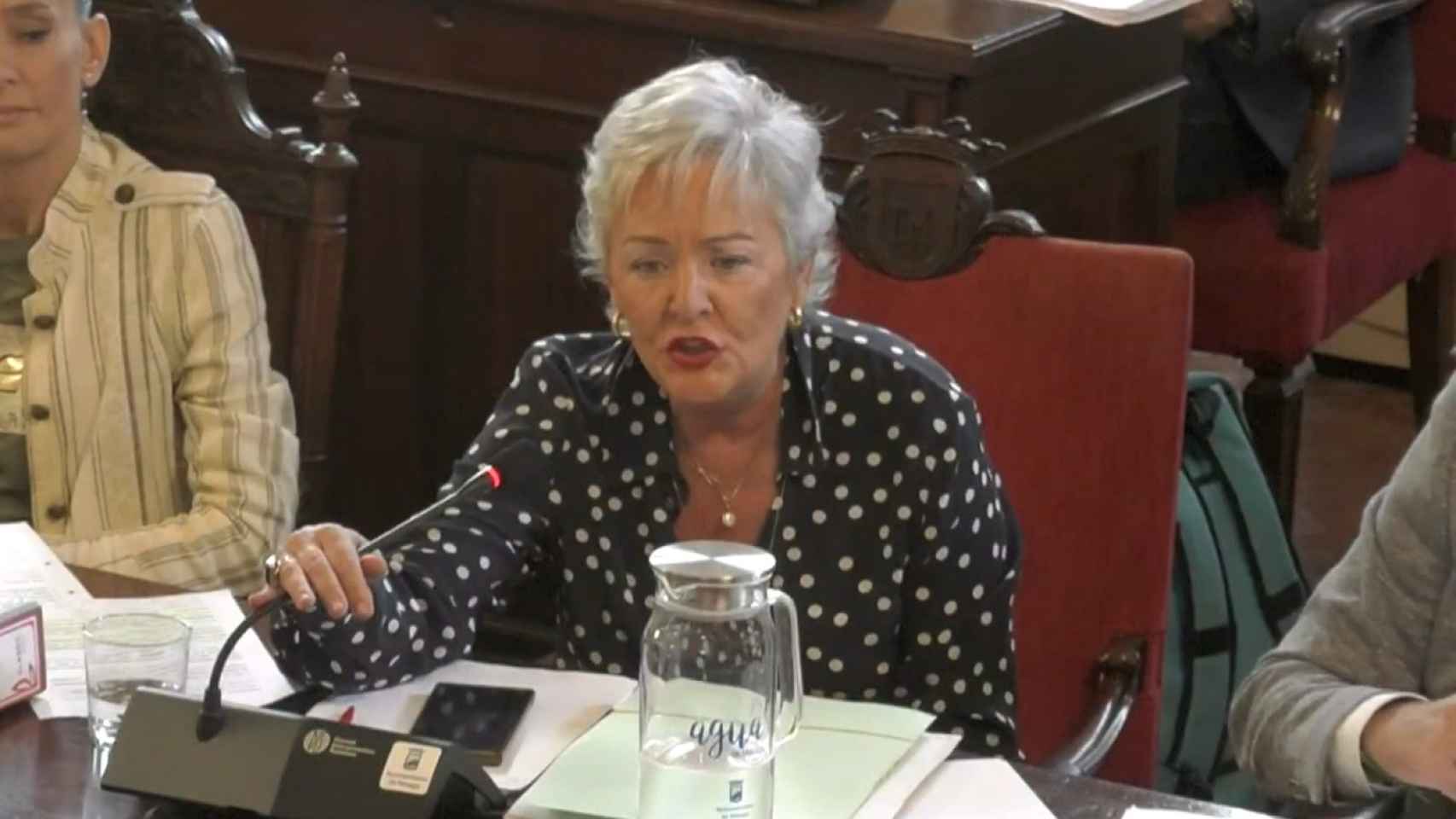 La concejala Teresa Porras, durante el Pleno de Málaga.