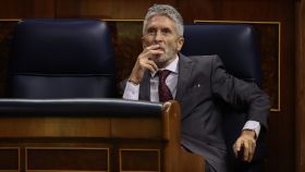 El ministro del Interior, Fernando Grande-Marlaska, este miércoles en el Congreso de los Diputados.