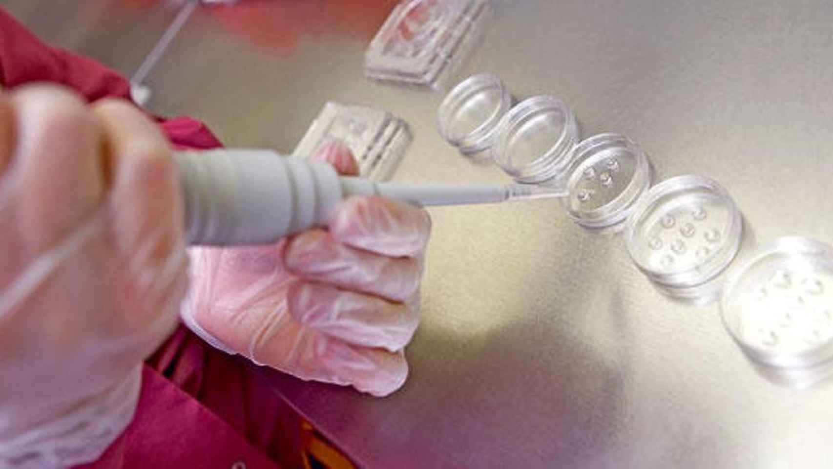 Proceso de selección de embriones en un laboratorio.
