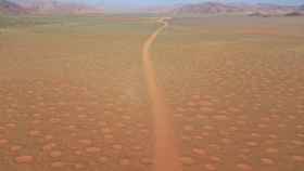 Círculos de hadas en el desierto de Namibia.