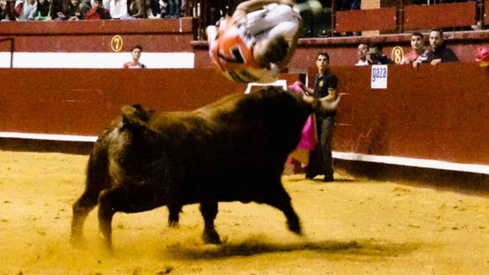 Final del Campeonato de Cortes de Castilla y León celebrado en La Flecha