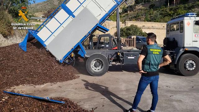 La algarroba, nuevo objeto de deseo de los ladrones: intervienen en Alicante 23 toneladas de fruto robado