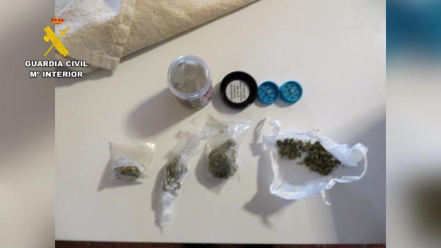 Desarticulan un grupo criminal dedicado al cultivo de marihuana en la Manchuela conquense