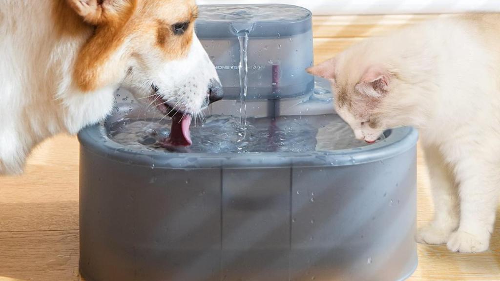Fuentes de agua para mascotas