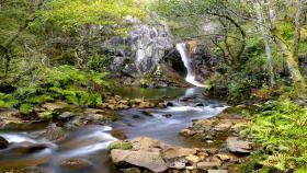 Ruta dos Tres Ríos  (Foto: Turismo de Santiago)