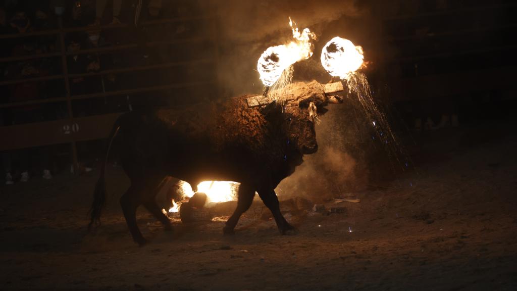 Celebración del tradicional Toro Júbilo de Medinaceli