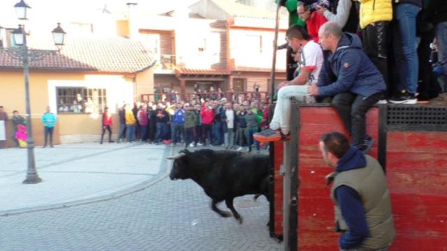 Toro de cajón en las fiestas de San Martín de Traspinedo