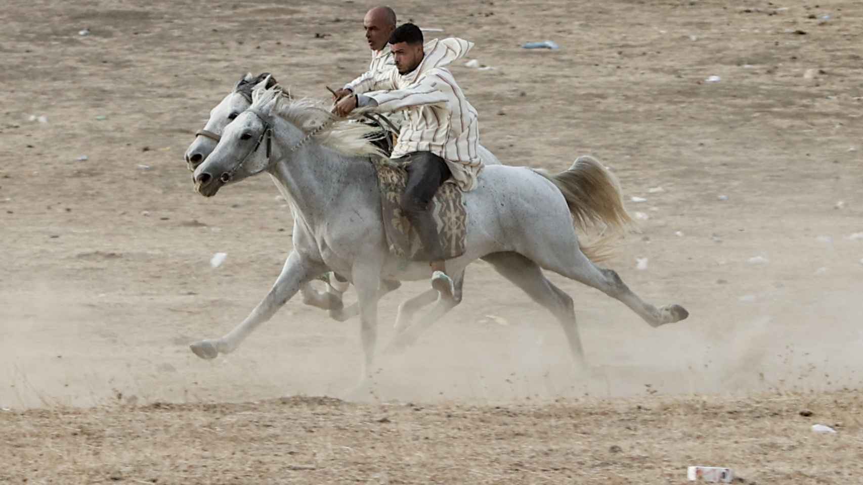 Festival Internacional de Equitación Mata.
