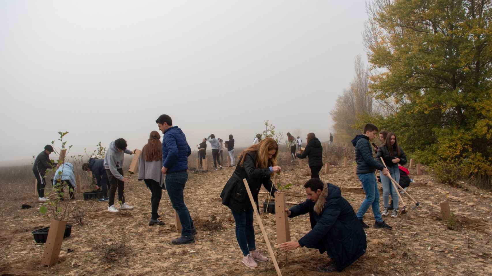 Varias personas plantan árboles en el nuevo bosque de Peñafiel