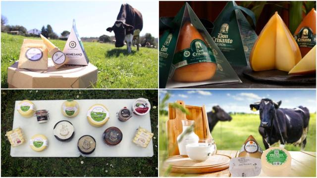 Estas son las queserías de Galicia premiadas en los ‘World Cheese Awards’