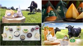 Estas son las queserías de Galicia premiadas en los ‘World Cheese Awards’