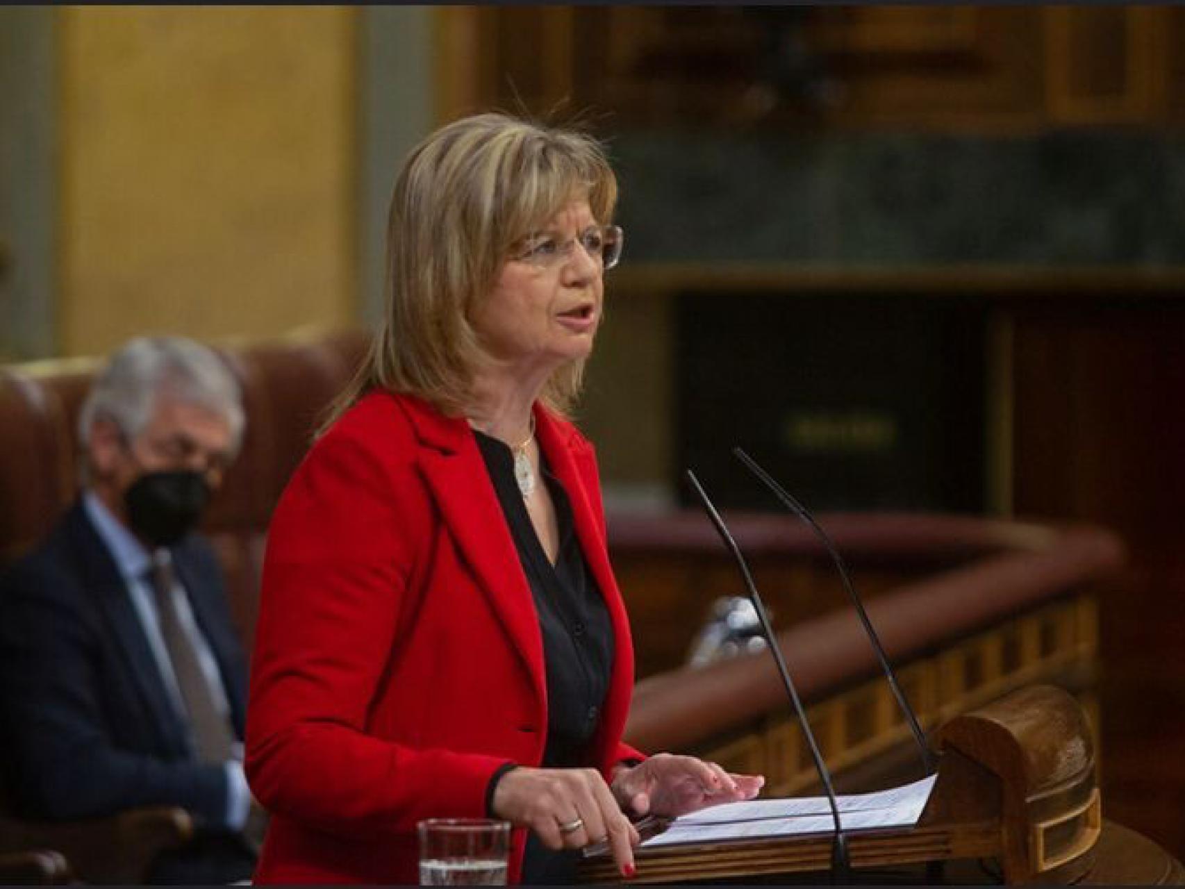 La diputada del PP por Zamora, Elvira Velasco, durante una intervención en el Congreso de los Diputados.