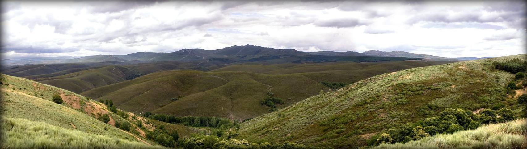 A pesar de los últimos incendios, la Sierra de la Culebra sigue siendo una joya natural inigualable