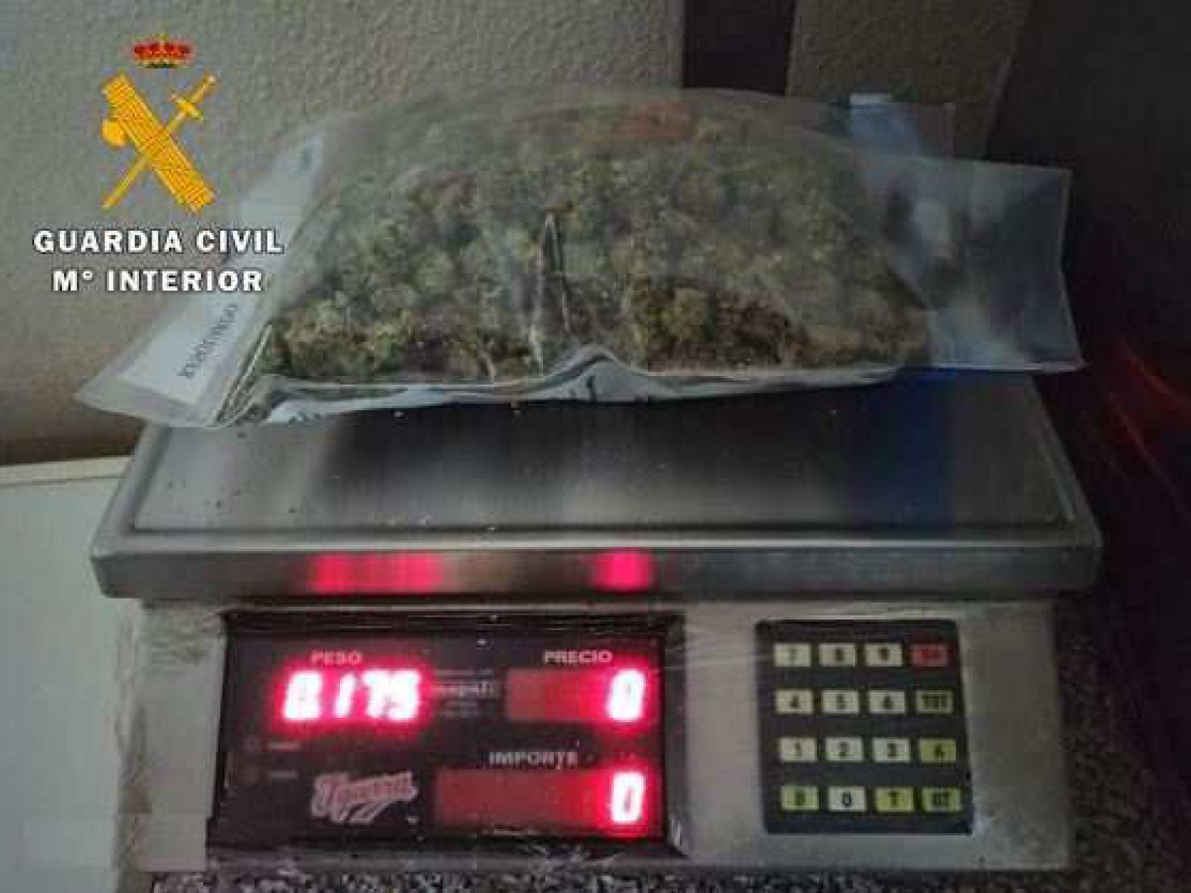 Marihuana intervenida en Tordesillas