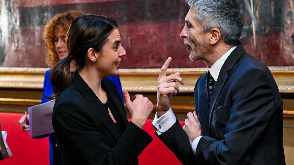 El ministro del Interior, Fernando Grande-Marlaska (d), charla con la ministra de Igualdad, Irene Montero, este jueves en el Senado en Madrid.