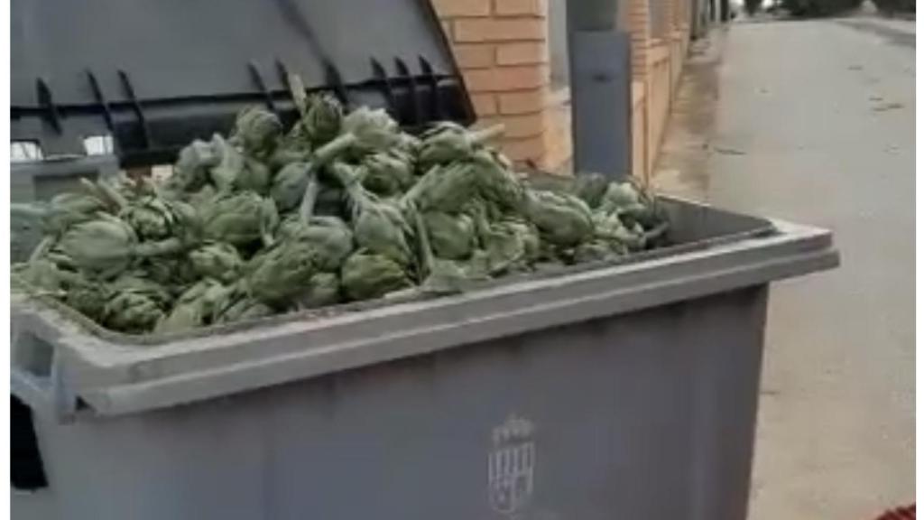 Las alcachofas acaban en el contenedor de la basura.