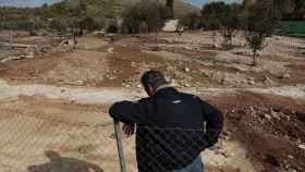 Un agricultor valenciano observa su campo anegado tras la última DANA.