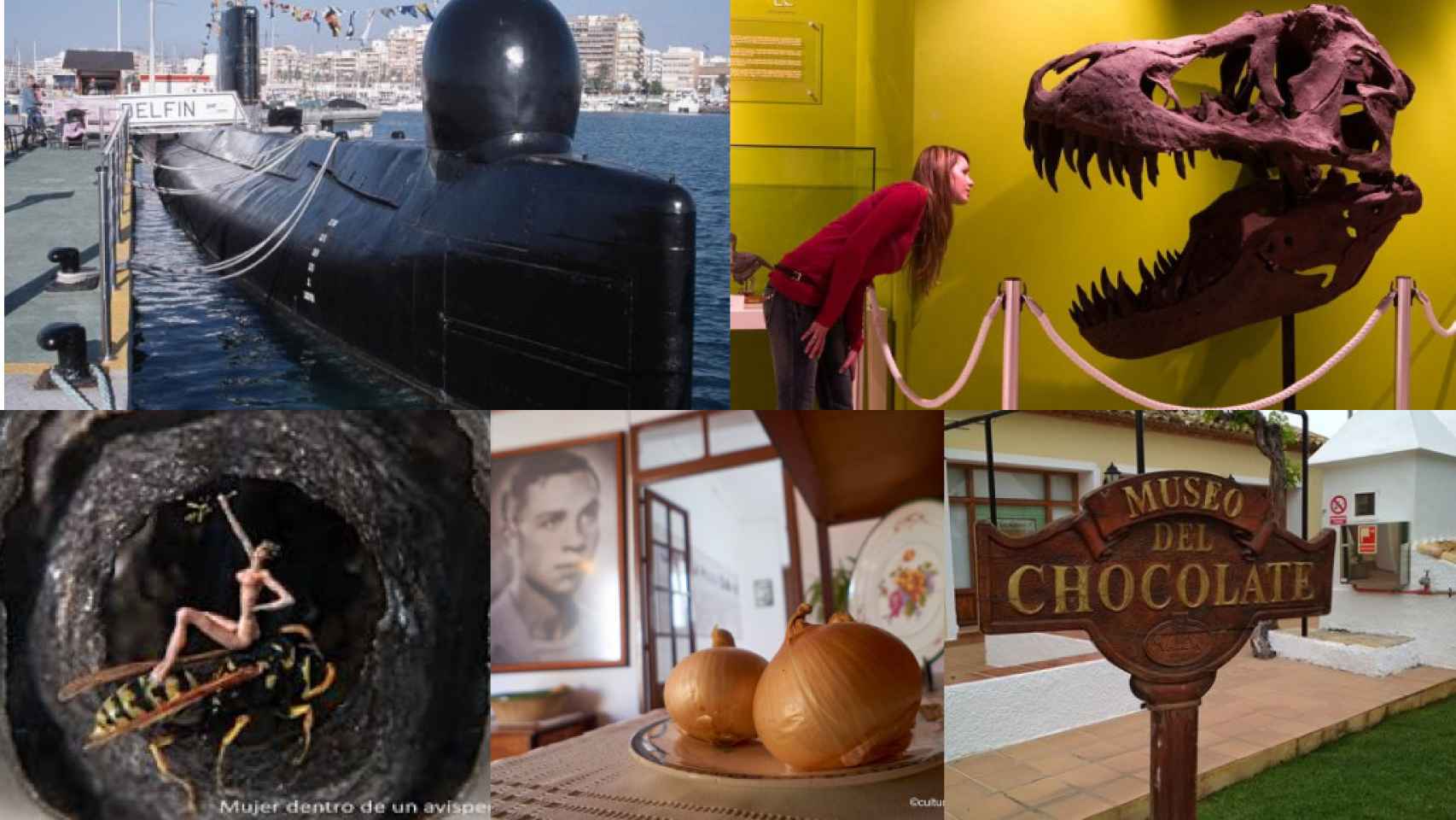 Una recopilación de los museos citados en el artículo.